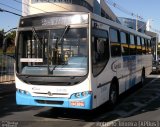 Nardelli Fretamento e Turismo 2490 na cidade de Salto, São Paulo, Brasil, por Roberto Teixeira. Número da foto: #2664337.