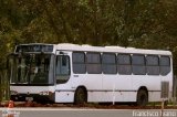 Rápido Linense 390 na cidade de Ourinhos, São Paulo, Brasil, por Francisco Ivano. Número da foto: #2672791.
