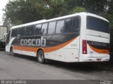 Cos Cob Agência de Viagens e Turismo 1100 na cidade de Taboão da Serra, São Paulo, Brasil, por Bruno Santino. Número da foto: #2671620.