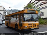 Horários do Funchal 264 na cidade de Madeira, Portugal, por Carlos Aguiar ®. Número da foto: #2674677.