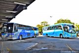 Viação Cometa 7687 na cidade de Mogi das Cruzes, São Paulo, Brasil, por Douglas Alvim. Número da foto: #2675184.