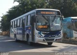 Auto Ônibus Fagundes RJ 101.172 na cidade de Niterói, Rio de Janeiro, Brasil, por Carlos Bernardes. Número da foto: #:id.