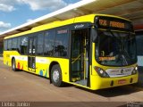 Viação Pioneira 223603 na cidade de Santa Maria, Distrito Federal, Brasil, por Clébio Júnior. Número da foto: #2623624.