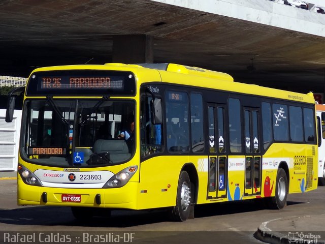 Viação Pioneira 223603 na cidade de Brasília, Distrito Federal, Brasil, por Rafael Caldas. ID da foto: 2626655.