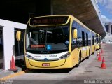 Viação Pioneira 226068 na cidade de Brasília, Distrito Federal, Brasil, por Ronan dos Reis. Número da foto: #2628293.