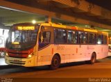 Rio Rotas Transporte e Turismo D81037 na cidade de Rio de Janeiro, Rio de Janeiro, Brasil, por Renan Vieira. Número da foto: #2628133.