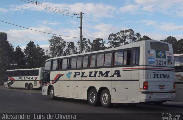 Pluma Conforto e Turismo 3274 na cidade de Botucatu, São Paulo, Brasil, por Alexandre  Luis de Oliveira. Número da foto: #2630116.