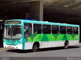 Viação Pioneira 404772 na cidade de Brasília, Distrito Federal, Brasil, por Diego Leão. Número da foto: #2633585.
