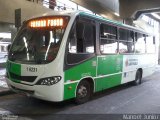 Transcooper > Norte Buss 1 6231 na cidade de São Paulo, São Paulo, Brasil, por Manoel Junior. Número da foto: #:id.