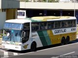 Empresa Gontijo de Transportes 11310 na cidade de Ribeirão Preto, São Paulo, Brasil, por Fernando Reis. Número da foto: #2635029.