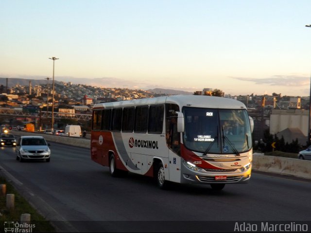 Rouxinol 425 na cidade de Belo Horizonte, Minas Gerais, Brasil, por Adão Raimundo Marcelino. Número da foto: #2682272.