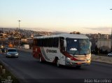 Rouxinol 425 na cidade de Belo Horizonte, Minas Gerais, Brasil, por Adão Raimundo Marcelino. Número da foto: #2682272.