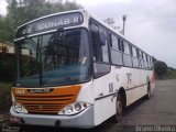 Viação Piracema de Transportes 50623 na cidade de Jaboticabal, São Paulo, Brasil, por Bruno Oliveira. Número da foto: #:id.