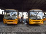 Araucária Transportes Coletivos LC068 na cidade de Curitiba, Paraná, Brasil, por Douglas Kaique Rosa. Número da foto: #:id.