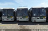 Empresa Gontijo de Transportes 10380 na cidade de Contagem, Minas Gerais, Brasil, por Maurício Nascimento. Número da foto: #2703965.