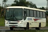 AVOA - Auto Viação Ourinhos Assis 7985 na cidade de Assis, São Paulo, Brasil, por Francisco Ivano. Número da foto: #2706283.