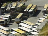 Empresa Gontijo de Transportes 10295 na cidade de Belo Horizonte, Minas Gerais, Brasil, por Tailisson Fernandes. Número da foto: #2709947.