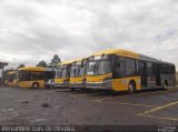 VIP - Unidade Brás 3 9410 na cidade de Botucatu, São Paulo, Brasil, por Alexandre  Luis de Oliveira. Número da foto: #2713096.