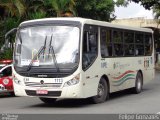 VIPE - Viação Padre Eustáquio 1113 na cidade de São Caetano do Sul, São Paulo, Brasil, por Felipe Gonzales. Número da foto: #2714482.
