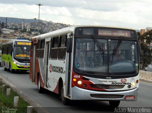 Rouxinol 404 na cidade de Belo Horizonte, Minas Gerais, Brasil, por Adão Raimundo Marcelino. ID da foto: 2716296.