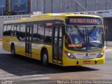 Viação Pioneira 223603 na cidade de Brasília, Distrito Federal, Brasil, por Moisés Araújo Lima. Número da foto: #2716114.