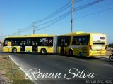 Viação Pioneira 226131 na cidade de Santa Maria, Distrito Federal, Brasil, por Ronan dos Reis. Número da foto: #2717815.