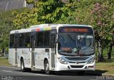 Real Auto Ônibus C41335 na cidade de Rio de Janeiro, Rio de Janeiro, Brasil, por Erick Dias. Número da foto: #:id.