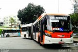 TRANSPPASS - Transporte de Passageiros 8 1943 na cidade de Osasco, São Paulo, Brasil, por Gabriel Almeida. Número da foto: #:id.