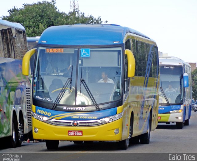 Viação Lírio dos Vales 11000 na cidade de São Mateus, Espírito Santo, Brasil, por Caio Trés. Número da foto: #2722570.
