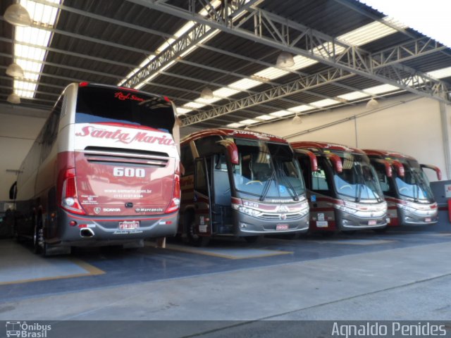Santa Maria Fretamento e Turismo > Transportes Santa Maria(SP) 600 na cidade de São Bernardo do Campo, São Paulo, Brasil, por Agnaldo Penides. Número da foto: #2721617.