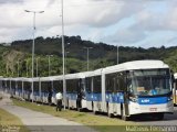 Mobibrasil São Lourenço >>> Mobi-PE 2.424 na cidade de São Lourenço da Mata, Pernambuco, Brasil, por Matheus Fernando. Número da foto: #2726438.