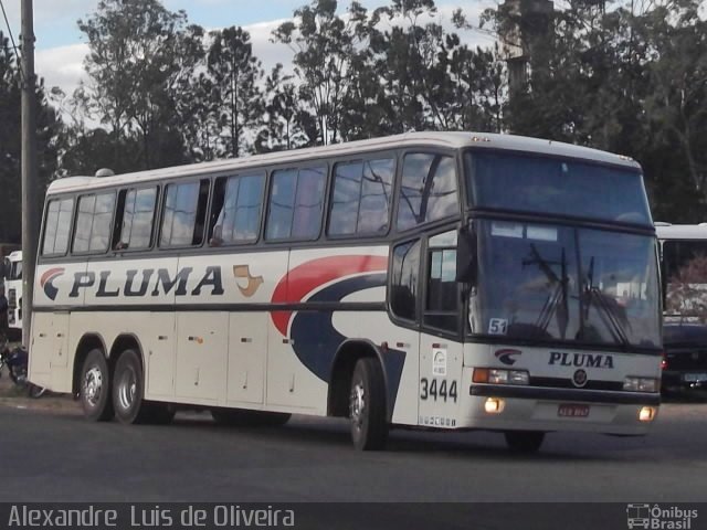 Pluma Conforto e Turismo 3444 na cidade de Botucatu, São Paulo, Brasil, por Alexandre  Luis de Oliveira. Número da foto: #2727756.