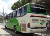 Pássaro Verde 26020 na cidade de Belo Horizonte, Minas Gerais, Brasil, por Maurício Nascimento. Número da foto: #:id.
