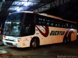 Eucatur - Empresa União Cascavel de Transportes e Turismo 3262 na cidade de Ji-Paraná, Rondônia, Brasil, por Maílsøn Antunes. Número da foto: #2732314.