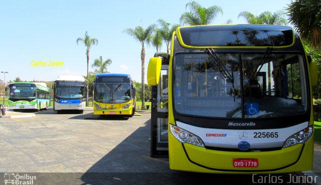 Viação Pioneira 225665 na cidade de Brasília, Distrito Federal, Brasil, por Carlos Júnior. ID da foto: 2736346.