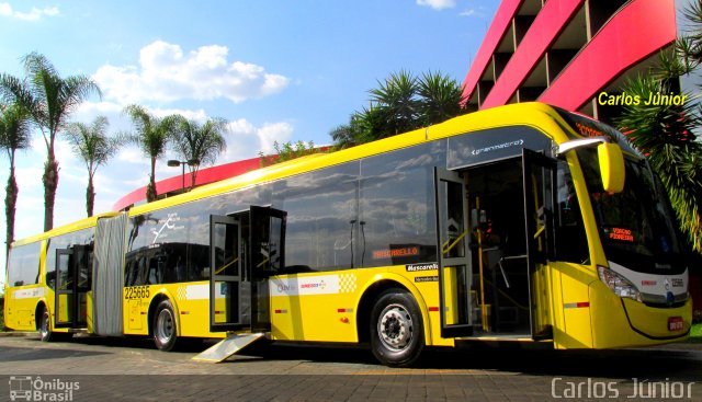 Viação Pioneira 225665 na cidade de Brasília, Distrito Federal, Brasil, por Carlos Júnior. ID da foto: 2738321.