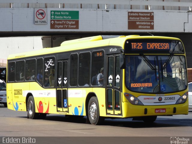 Viação Pioneira 223603 na cidade de Brasília, Distrito Federal, Brasil, por Edden Brito. Número da foto: #2738584.