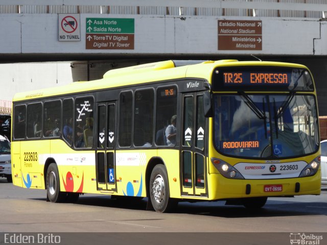 Viação Pioneira 223603 na cidade de Brasília, Distrito Federal, Brasil, por Edden Brito. ID da foto: 2738584.