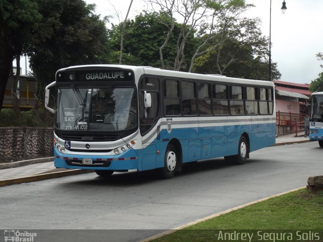 Buses Guadalupe 50 na cidade de Carmen, San José, San José, Costa Rica, por Andrey Segura Solís. Número da foto: #2685007.