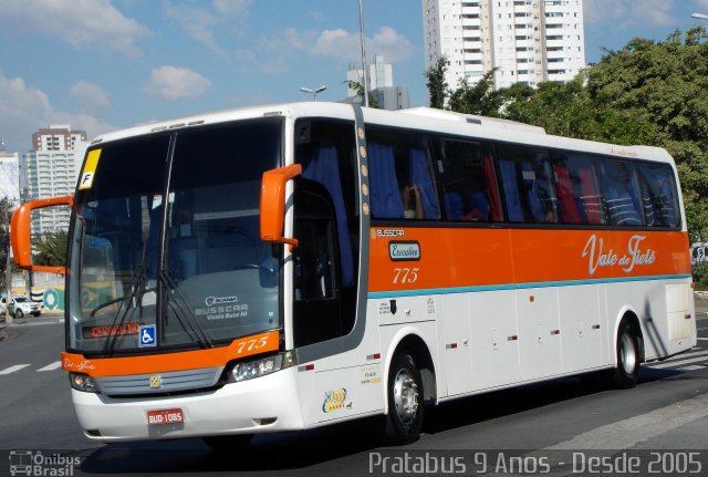 Viação Vale do Tietê 775 na cidade de São Paulo, São Paulo, Brasil, por Cristiano Soares da Silva. Número da foto: #2685012.
