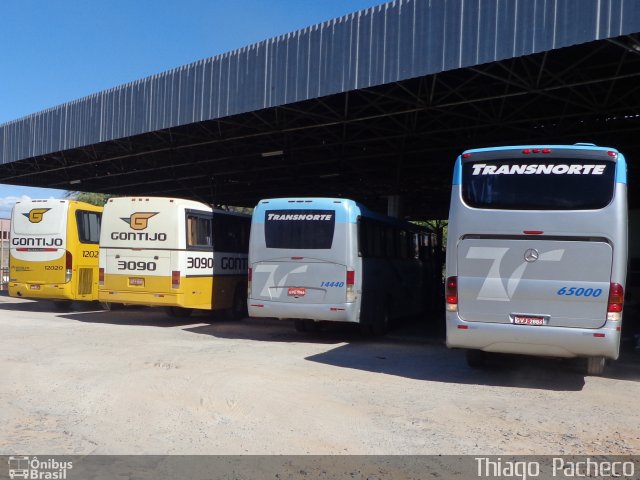 Transnorte - Transporte e Turismo Norte de Minas 65000 na cidade de Januária, Minas Gerais, Brasil, por Thiago  Pacheco. ID da foto: 2685194.