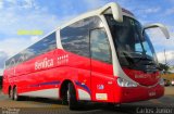 Transportadora Turística Benfica 2014 na cidade de Goiânia, Goiás, Brasil, por Carlos Júnior. Número da foto: #2686472.