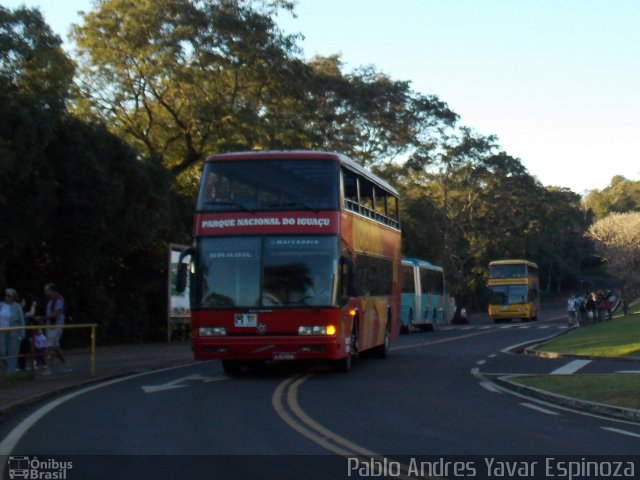 Parque Nacional do Iguaçu MACACO PREGO na cidade de Foz do Iguaçu, Paraná, Brasil, por Pablo Andres Yavar Espinoza. Número da foto: #2741348.