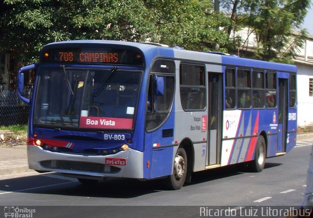 Viação Boa Vista BV-803 na cidade de São Paulo, São Paulo, Brasil, por Ricardo Luiz. Número da foto: #2744111.