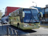 Pullman El Huique BFSB39 na cidade de Santa Cruz, Colchagua, Libertador General Bernardo O'Higgins, Chile, por Pablo Andres Yavar Espinoza. Número da foto: #2741429.