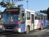 Viação Boa Vista BV-736 na cidade de Campinas, São Paulo, Brasil, por Rodrigo  Vieira. ID da foto: :id.