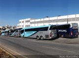 Transnorte - Transporte e Turismo Norte de Minas 85500 na cidade de Belo Horizonte, Minas Gerais, Brasil, por Adão Raimundo Marcelino. Número da foto: #2692424.