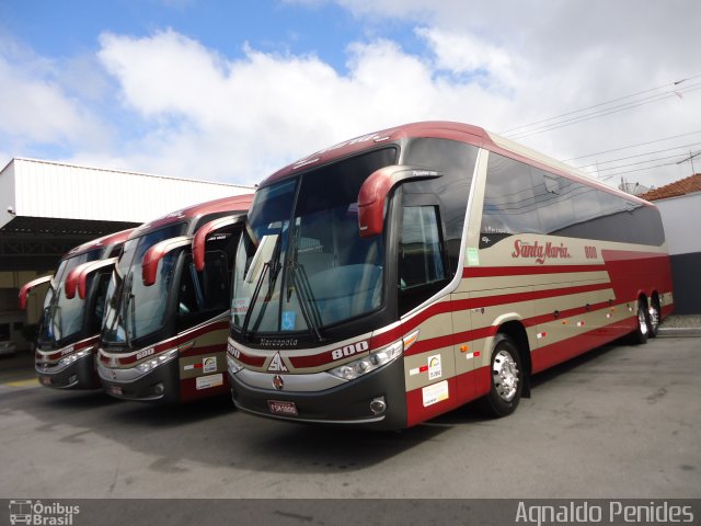 Santa Maria Fretamento e Turismo > Transportes Santa Maria(SP) 800 na cidade de São Bernardo do Campo, São Paulo, Brasil, por Agnaldo Penides. Número da foto: #2694262.