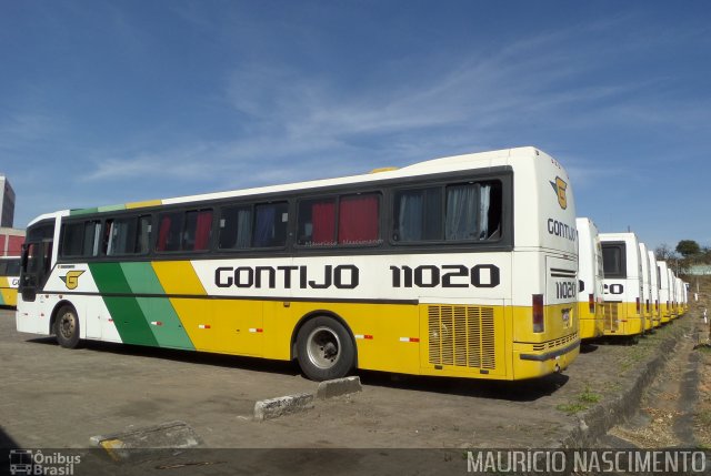 Empresa Gontijo de Transportes 11020 na cidade de Belo Horizonte, Minas Gerais, Brasil, por Maurício Nascimento. Número da foto: #2697624.