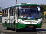 Viação Galo Branco RJ 181.005 na cidade de Niterói, Rio de Janeiro, Brasil, por Renan Vieira. Número da foto: #2697690.
